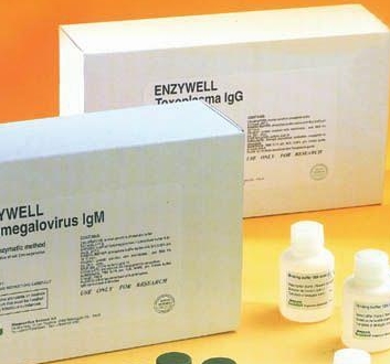 副流感病毒4a型RT-PCR试剂盒