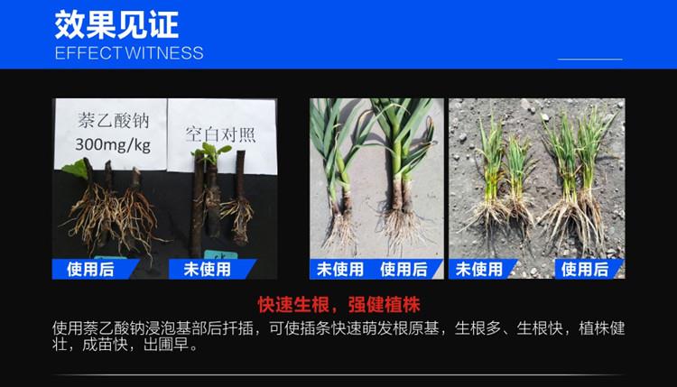 萘乙酸钠1.jpg 萘乙酸钠1.jpg