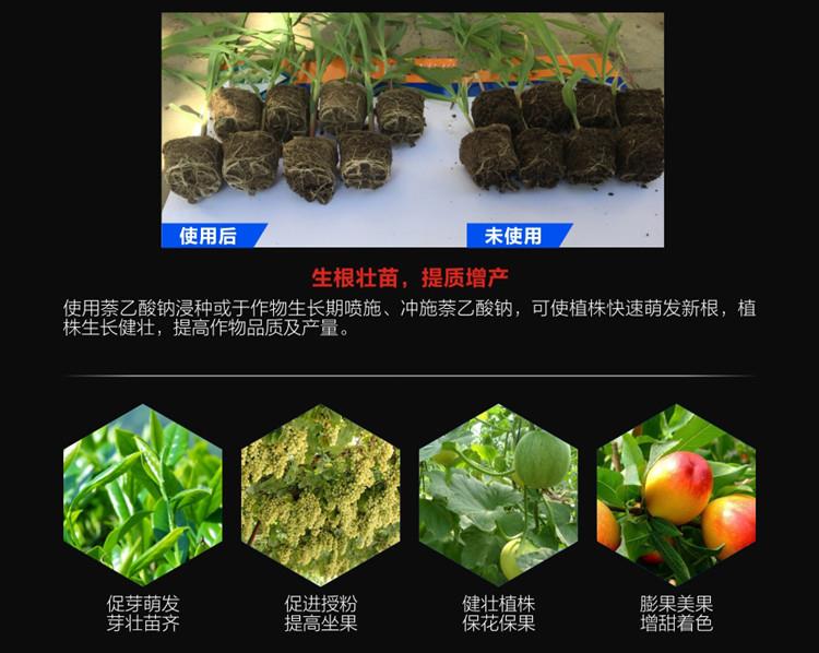 萘乙酸钠2.jpg 萘乙酸钠2.jpg