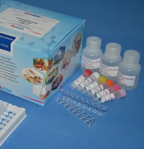 马红球菌染料法荧光定量PCR试剂盒Rhodococcus equi