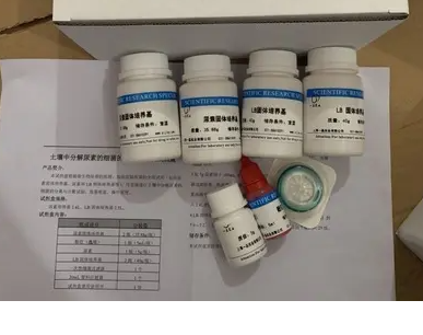 淋巴细胞性脉络丛脑膜炎病毒染料法荧光定量RT-PCR试剂盒Lymphocytic Choriomeningitis  Virus(LCMV)
