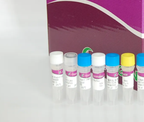牛轮状病毒A组染料法荧光定量RT-PCR试剂盒Bovine Rotavirus Group A(BRAV-A)