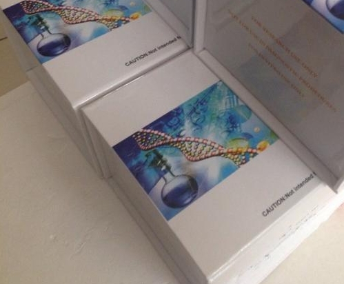 产碱普罗威登斯菌染料法荧光定量PCR试剂盒Providencia alcalifaciens