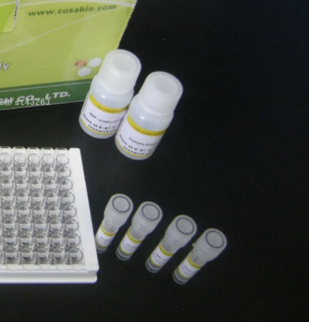 不动杆菌属染料法荧光定量PCR试剂盒Acinetobacter spp