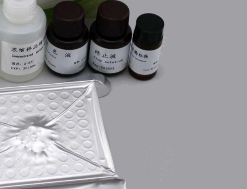 口腔支原体染料法荧光定量PCR试剂盒Mycoplasma orale