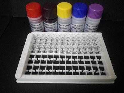 山羊支原体山羊肺炎亚种染料法荧光定量PCR试剂盒Mycoplasma capricolum subsp. Capripneumoniae