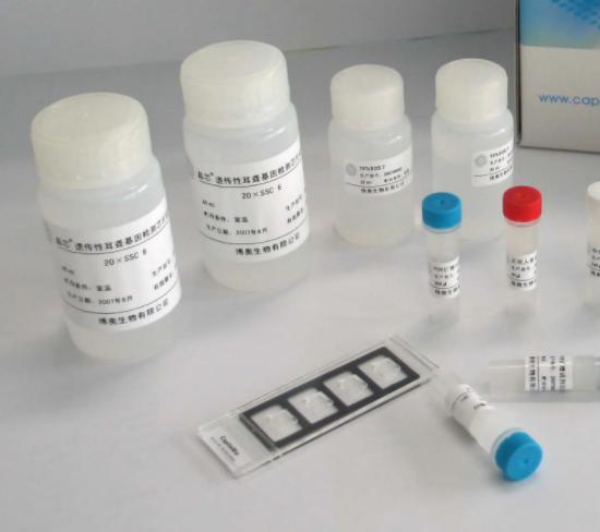 箭毒蛙壶菌染料法荧光定量PCR试剂盒Batrachochytrium dendrobatidis