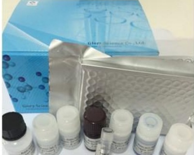 人分枝杆菌染料法荧光定量PCR试剂盒Mycobacterium hominis