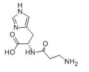 肌肽.jpg 肌肽.jpg
