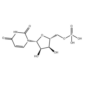 尿苷酸原料 保健品添加剂 核苷酸中间体