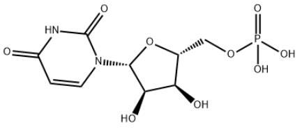 尿苷酸.jpg 尿苷酸.jpg
