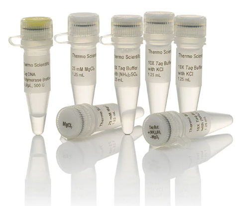 弗氏柠檬酸杆菌染料法荧光定量PCR试剂盒Citrobacter freundii