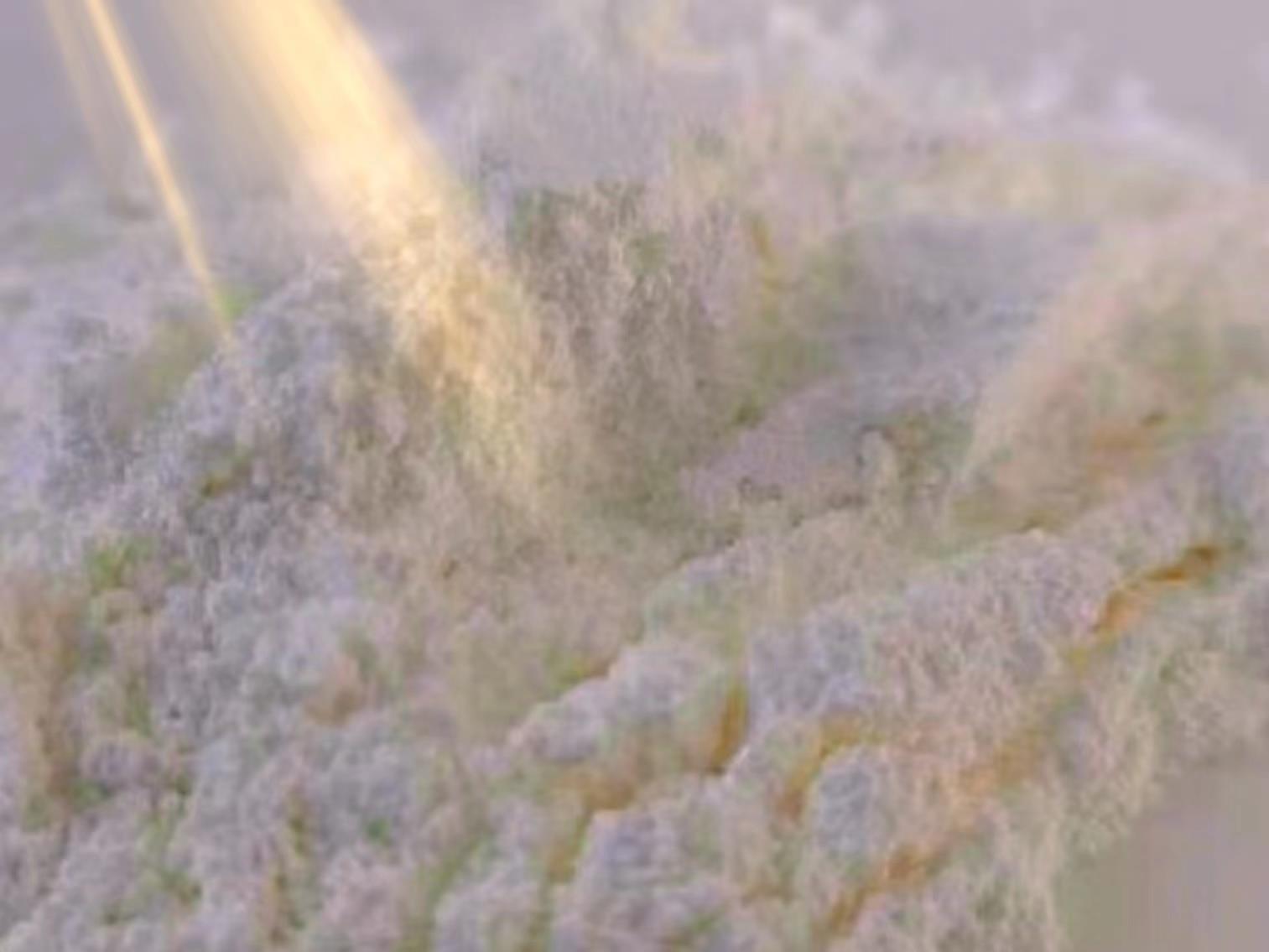 白色粉末.jpg 白色粉末.jpg