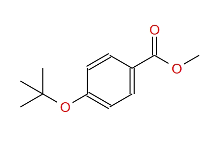 4-(叔丁氧基)苯甲酸甲酯 62370-08-5