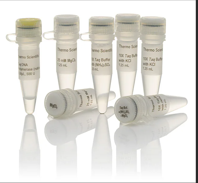 绵羊星状病毒1型染料法荧光定量RT-PCR试剂盒Ovine Astrovirus 1(OAstV)