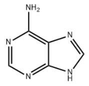 腺嘌呤.jpg 腺嘌呤.jpg
