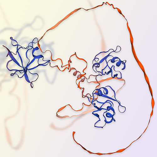 TDP43重组蛋白-ACROBiosystems百普赛斯