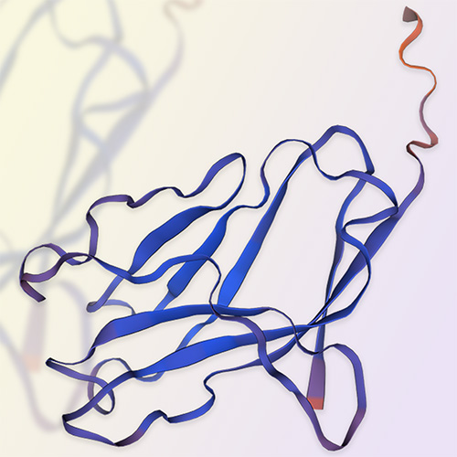 TREM2重组蛋白，ACROBiosystems百普赛斯