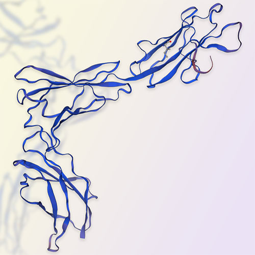 IL-23R重组蛋白，ACROBiosystems百普赛斯