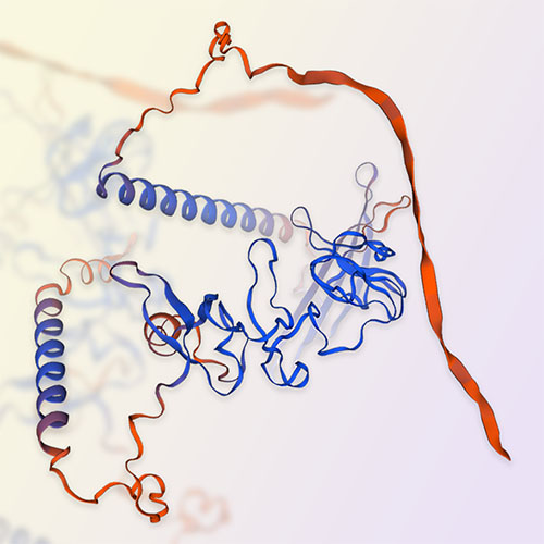 DKK3蛋白-ACROBiosystems百普赛斯