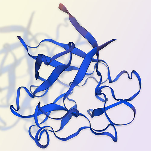 FGF4蛋白-ACROBiosystems百普赛斯
