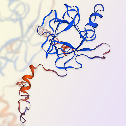 FGF19蛋白-ACROBiosystems百普赛斯