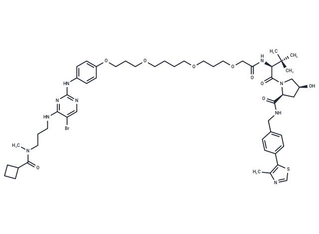 TBK1 control PROTAC? 4|T36247|TargetMol