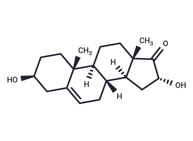 16α-hydroxy Dehydroepiandrosterone|T36920|TargetMol