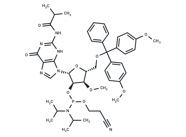 化合物 3’-O-Me-G(iBu)-2’-phosphoramidite|TNU1384|TargetMol