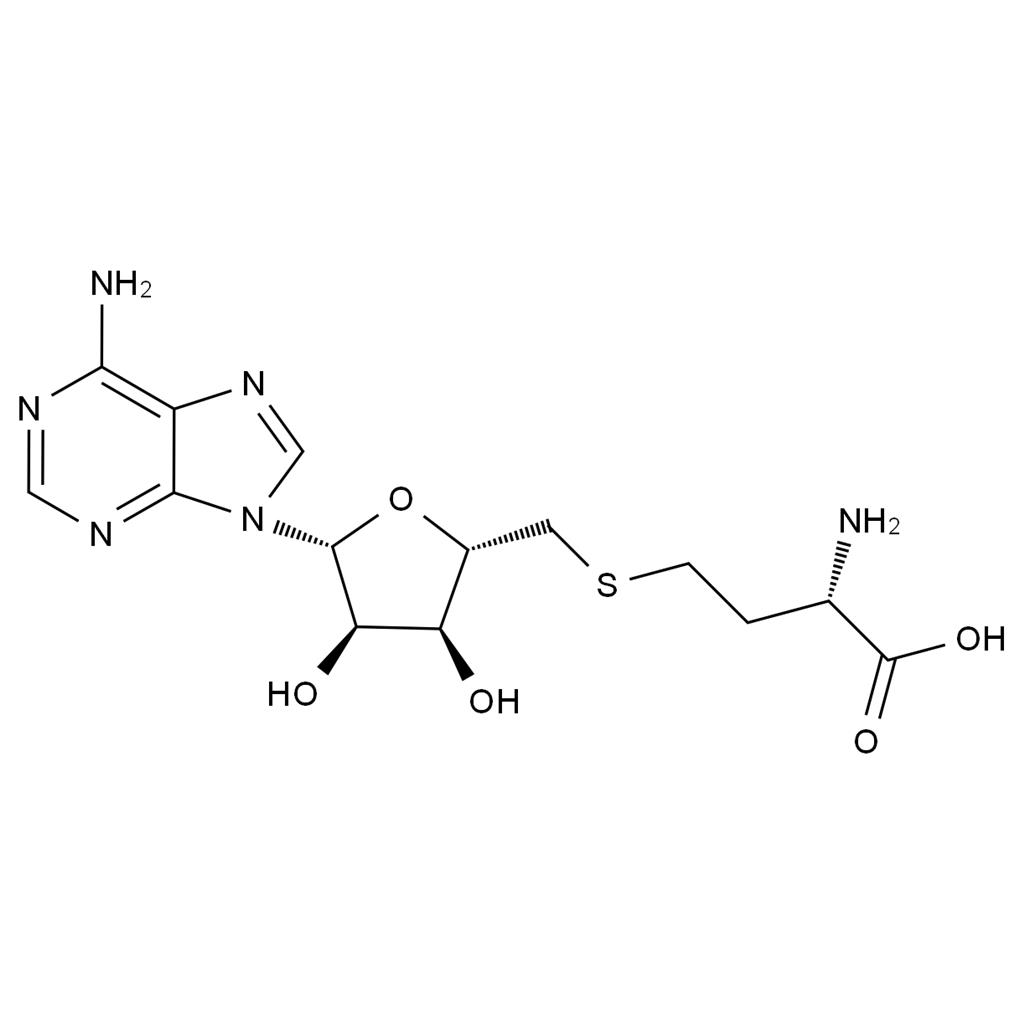 CATO_S-(5'-腺苷)-L-高半胱氨酸_979-92-0_97%