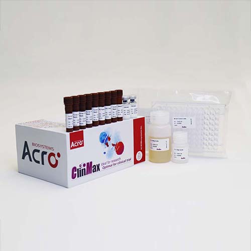 重组人SLAMF1/CD150蛋白-ACROBiosystems百普赛斯