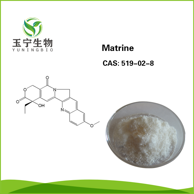 苦参碱