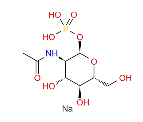 N-乙酰-A-D-氨基葡萄糖-1-磷酸酯 31281-59-1