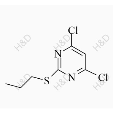 T004024.jpg T004024.jpg