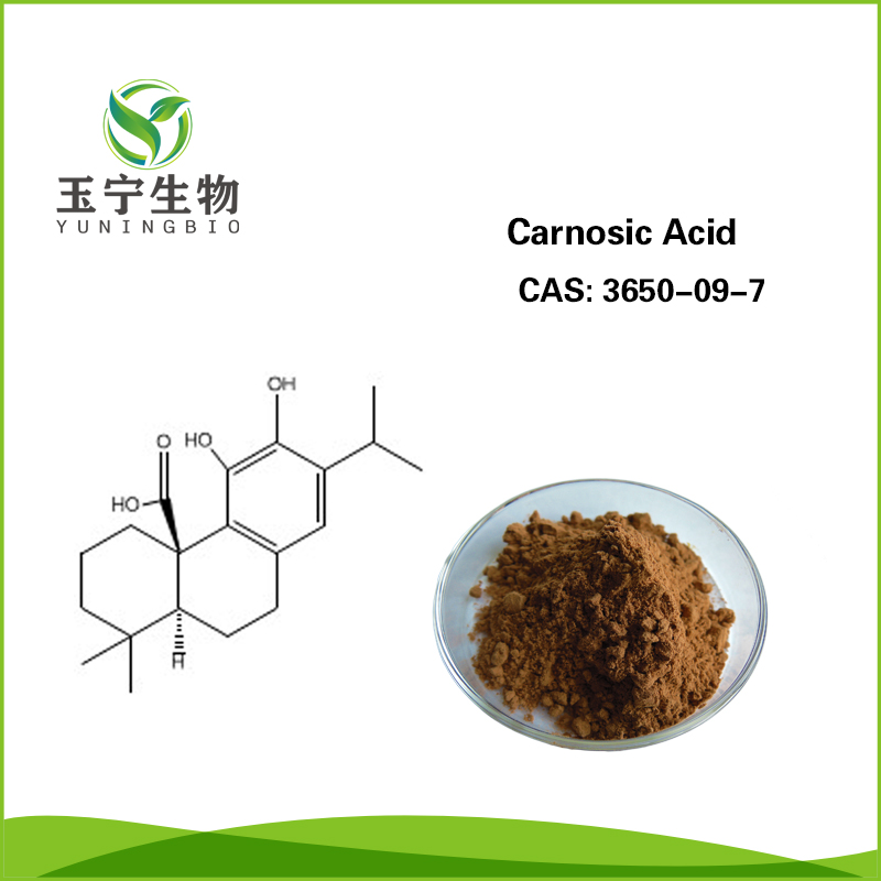 鼠尾草酸 3650-09-7