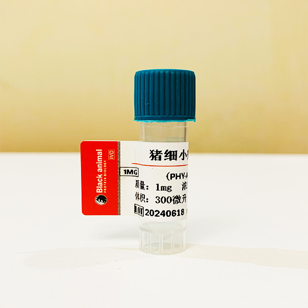 重组猪细小病毒VP2蛋白，猪细小病毒抗原，猪PPV抗原