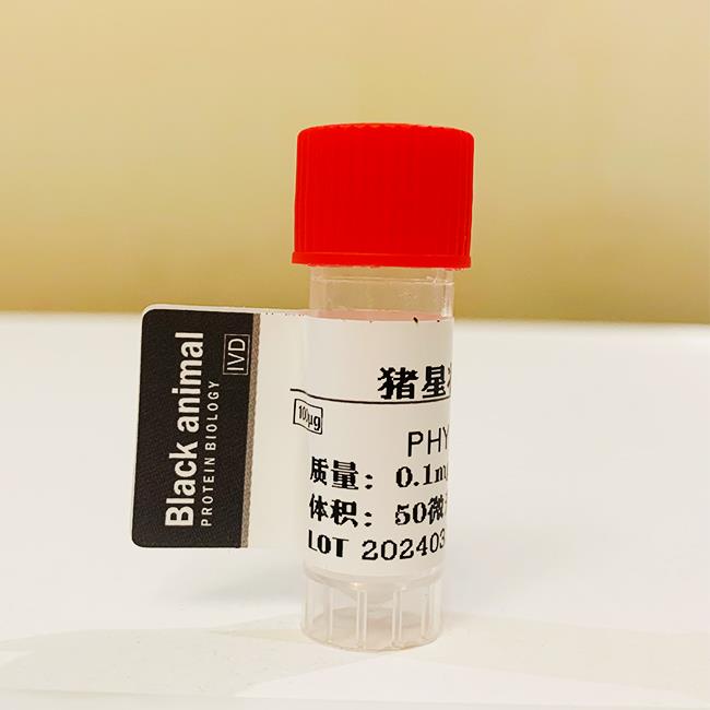 猪星状病毒蛋白.jpg 猪星状病毒蛋白.jpg