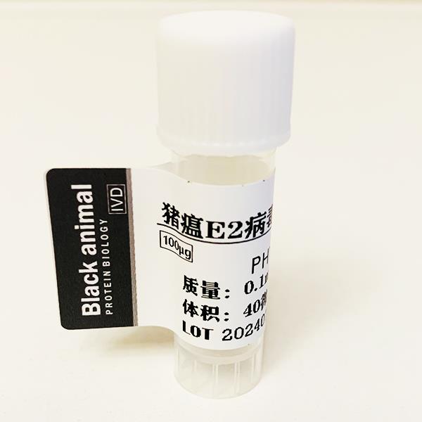 猪瘟E2蛋白.jpg 猪瘟E2蛋白.jpg