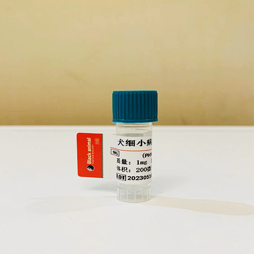500μg 抗犬细小病毒(CPV)单克隆抗体，犬细小病毒抗体，犬细小抗体，犬CPV抗体