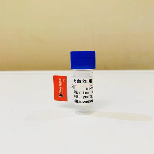 犬血红蛋白抗体.jpg 犬血红蛋白抗体.jpg