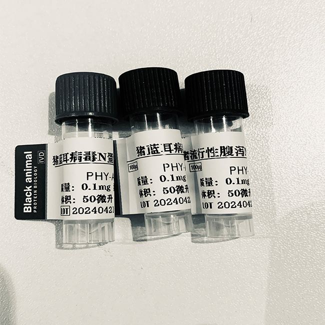 500μg  猫贾第虫抗体，贾第鞭毛虫单克隆抗体