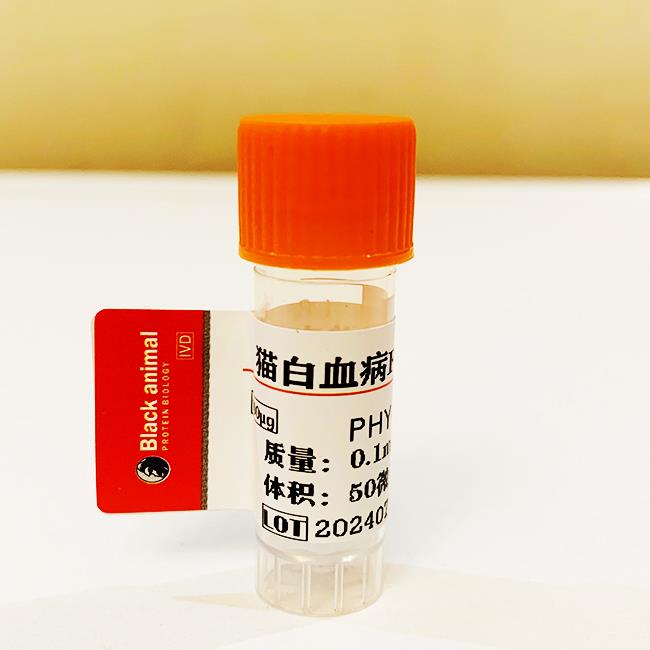 猫白血病FELV单克隆抗体.jpg 猫白血病FELV单克隆抗体.jpg