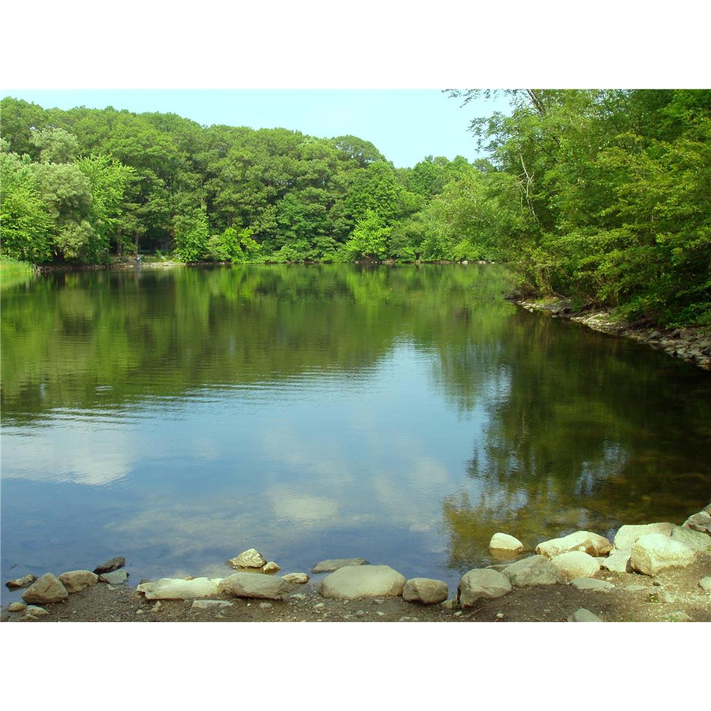 聚二氯乙基醚四甲基乙二胺水处理剂 杀菌除藻剂  PQ-42