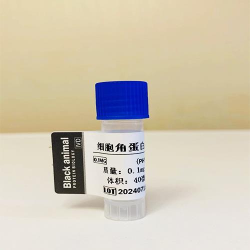 细胞角质蛋白.jpg 细胞角质蛋白.jpg