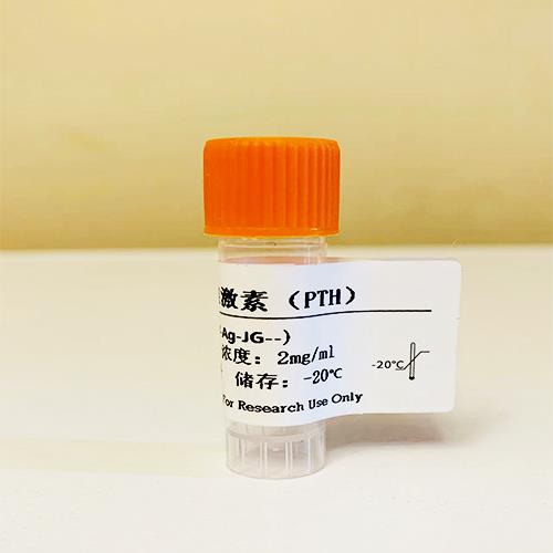 甲状旁腺激素(PTH).jpg 甲状旁腺激素(PTH).jpg