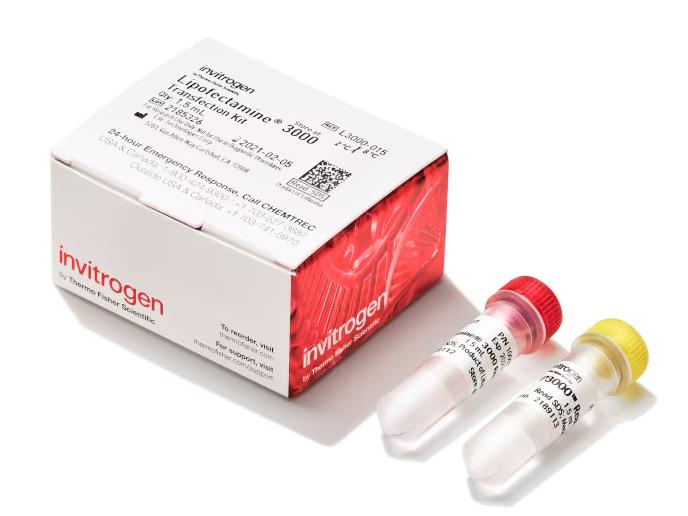 9a222148df7a277783262b993b2a590.png 9a222148df7a277783262b993b2a590.png