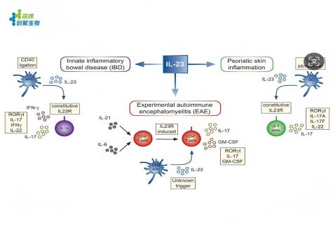 1734658745306(1)(1)(1).png 1734658745306(1)(1)(1).png