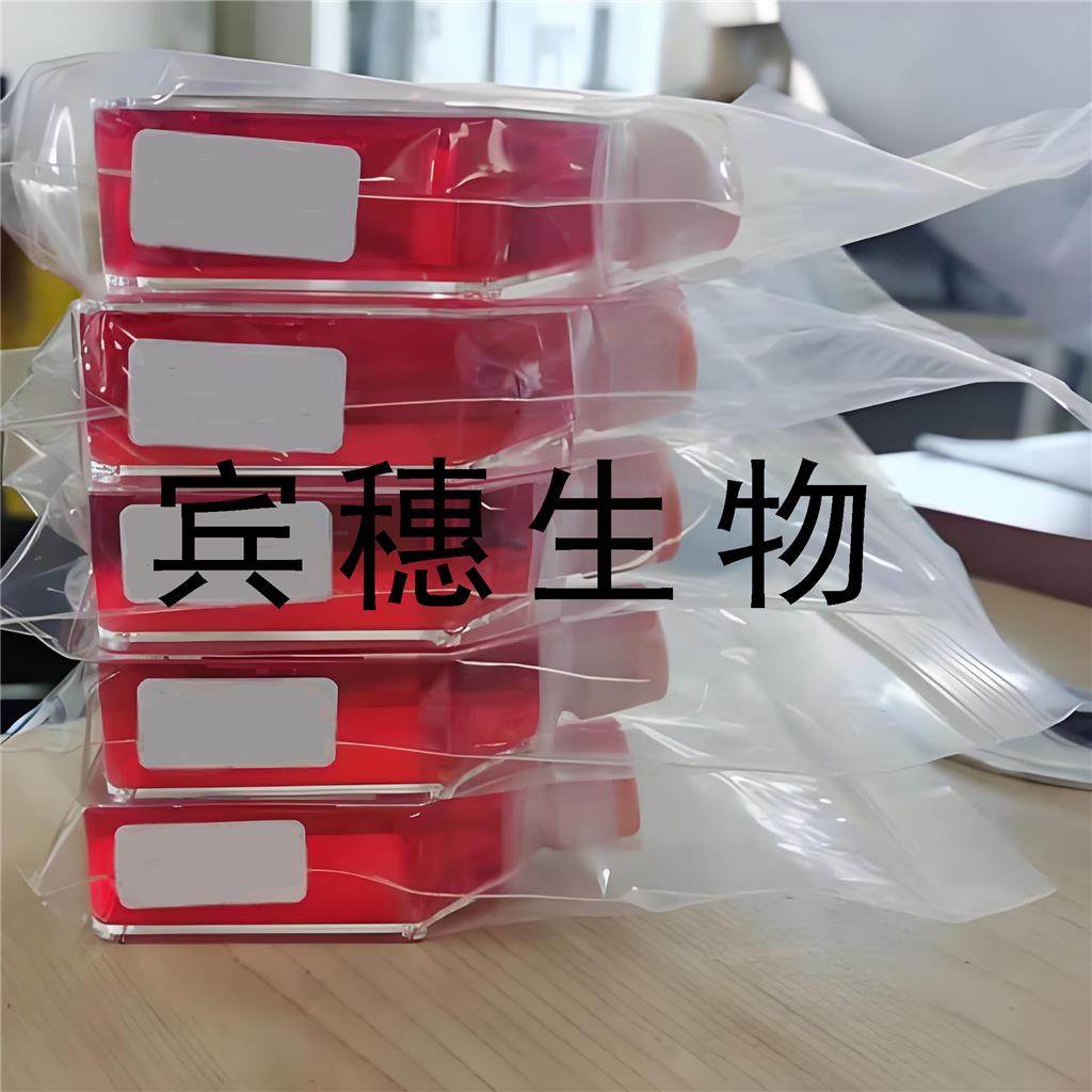 HFL1 Cells人胚肺成纤维复苏细胞系(有STR鉴定图谱)