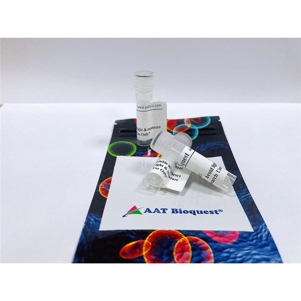 iFluor 488小麦胚芽凝集素（WGA）探针