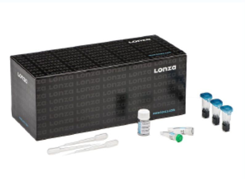 P3原代细胞4D X试剂盒（12次反应套装）